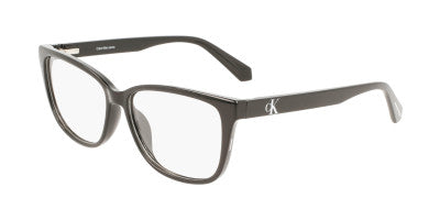 CKJ22619