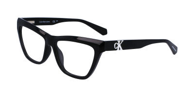 CKJ23614