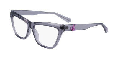 CKJ23614
