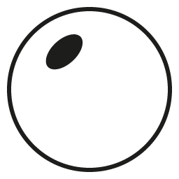 SV POLY+AR+TRANSITION